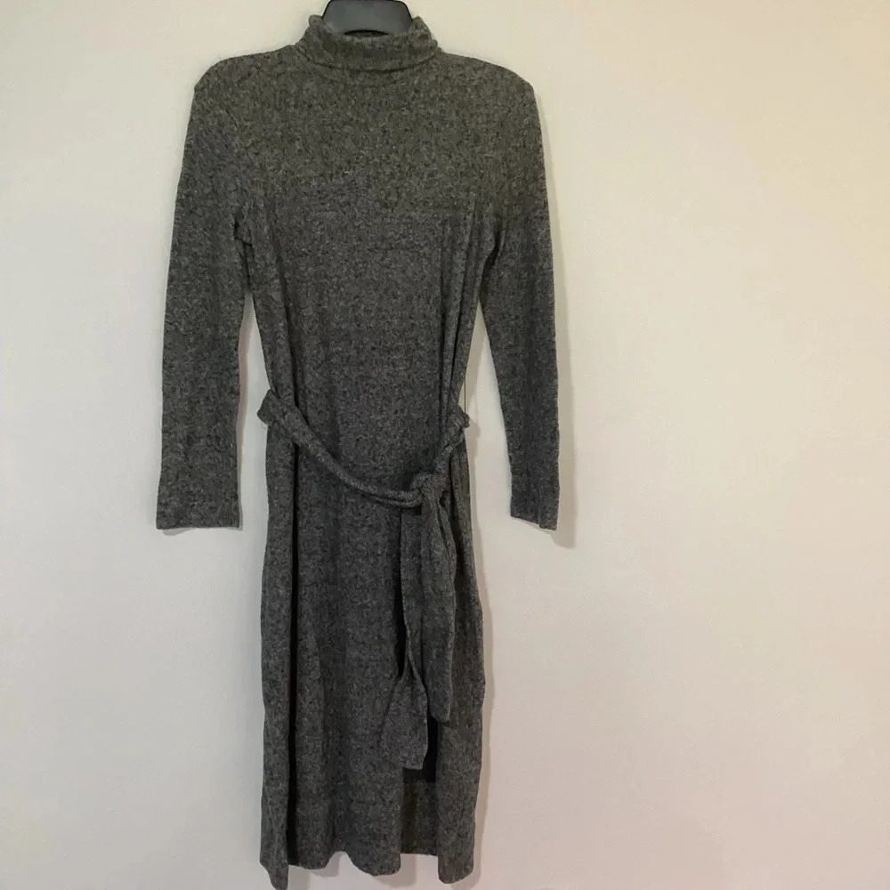 Zara Sweater Fleece Turtleneck Dress Small